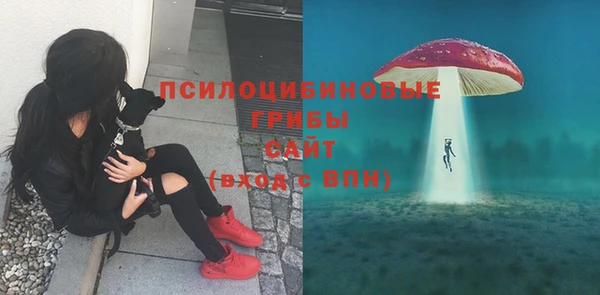 ПСИЛОЦИБИНОВЫЕ ГРИБЫ Белокуриха