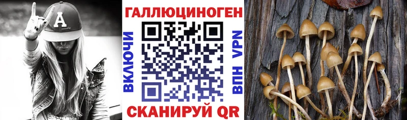 Галлюциногенные грибы MAGIC MUSHROOMS  дарнет шоп  Пугачёв 
